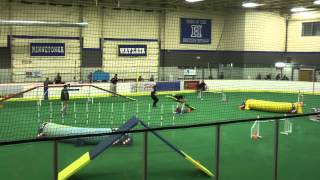 Hops's Agility, ITT Rd 3 Standard, clean run & 2nd place!