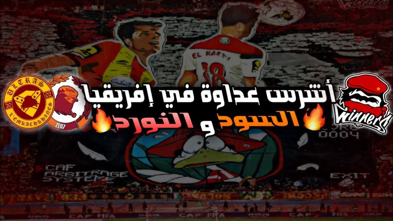 صراع الألتراس🔥: الوينرز و الكورڤا سود التونسية🤯