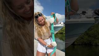 let’s set up my new dive belt 🐚🌊 - shell weight belt for freediving