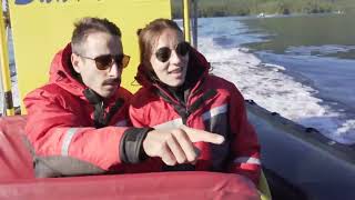 Whales, Bears and Sea Kayaking with Remote Passages Marine Excursions  Tofino