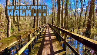 Where to Hike in Charleston | Edisto Nature Trail Near Charleston, South Carolina