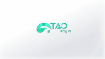 RGBlink TAO 1tiny v2 Product Overview