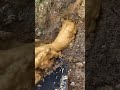 Sitting and wondering how he find out this wealth😱– News54