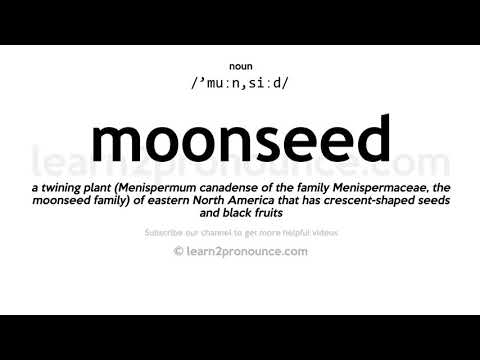 Moonseed ක උච්චාරණය | Moonseed අර්ථ දැක්වීම