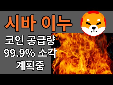 시바이누는 미래 전략으로 토큰 공급량을 99.9% 줄일 계획 입니다