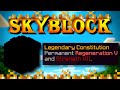 Hypixel SkyBlock Hardcore [48] The new best Damage Pet