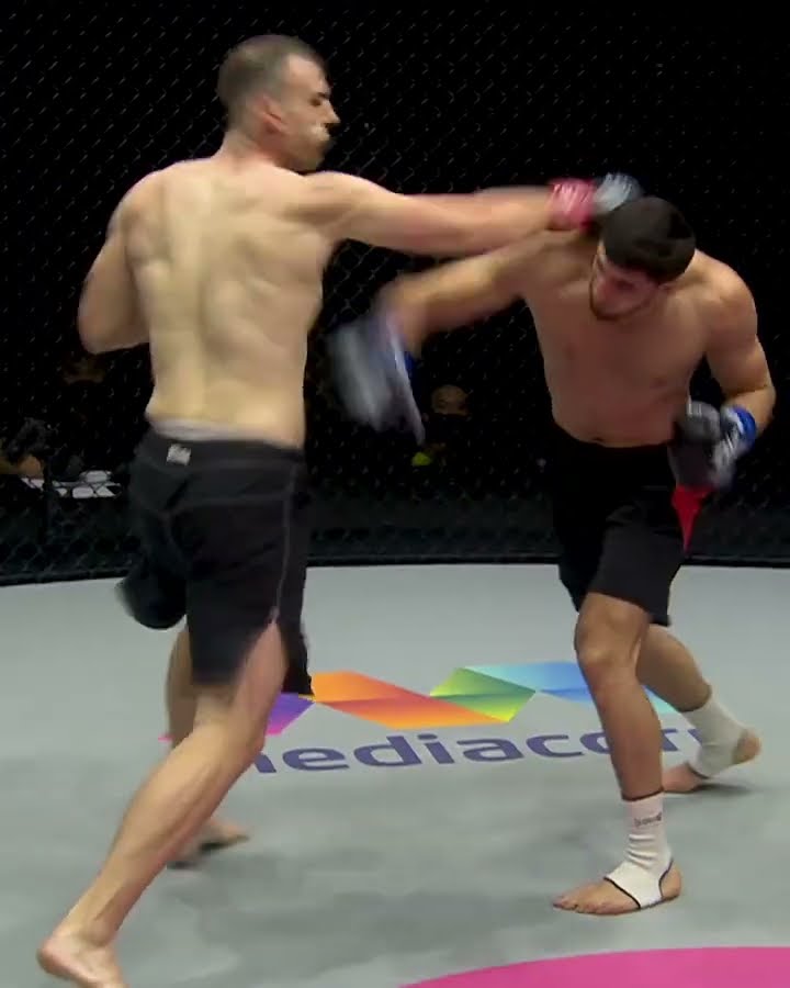 FOLDED him with ONE punch ?