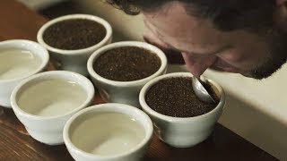 Intro to Coffee Cupping