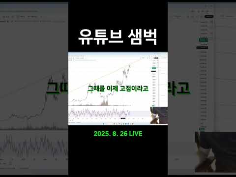 비트코인 고점을 맞출 수 있었던 이유