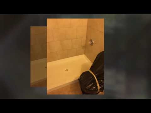23247 Tree House Lane, Spring TX