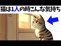 【猫が1人の時に飼い主に伝える想い】 猫の雑学 #猫 #ねこ