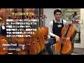 【チェロ比較】これからチェロ始める方必見！島村楽器で一番売れているチェロを価格帯で比較しました！
