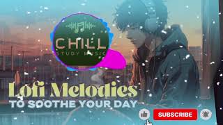 Dilbar Lo-fi || slow reverb || ||Chill Study Music || #chillstudymusic #hindisong