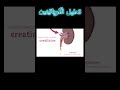 تحليل الكرياتينين الأرقام الطبيعية والمرتفعة كفاءة الكلى mp3