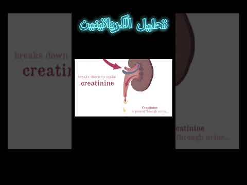 تحليل الكرياتينين الأرقام الطبيعية والمرتفعة كفاءة الكلى