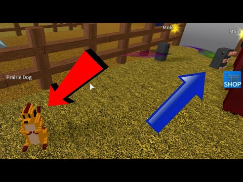 Come ottenere il cane di prateria e la Mole in Creature tycoon w / thedig