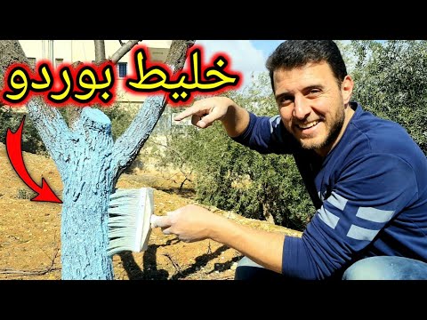 فيديو: لماذا نستخدم جذع المزج؟