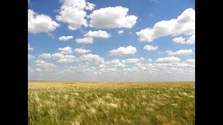 Учасники війни. село Боровеньки.