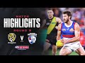 Richmond v western bulldogs highlights  round 9 2024  afl