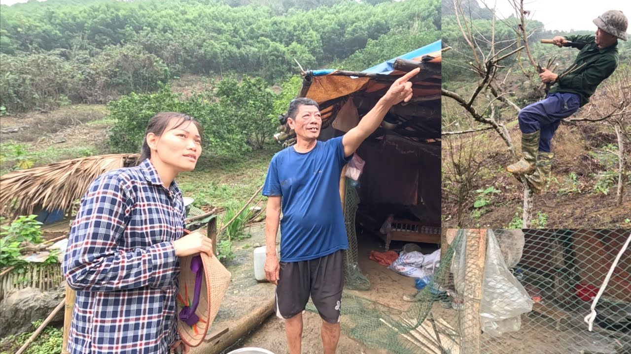 The mother was very happy that the pigs were growing up healthy. Ly Vy Ca