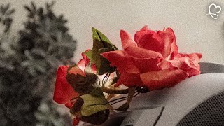 Oddwin  Put Me In A Domain ft Tablez Kevin11 prod Ivvnmr  Anderzxz  Smokefusion