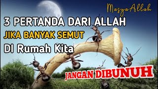 MASYAALLAH !! Jika Banyak Semut Di Rumahmu, Ada 3 Pertanda Dari Allah, Jangan Sampai Di Bunuh