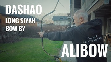 Dashao Warbow by Alibow - Review