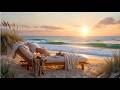 Sunlit Seaside Retreat 🌊 Gentle Waves & Cozy Coastal Ambience at Golden Hour