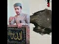 #اكسبلور #القارئ #المصحف #الله #funny #دويتو #صلوا_على_النبي #alhamdulillah #اعتني