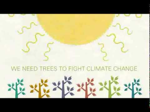 Go Paper Grow Trees