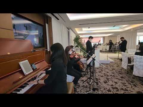 롯데호텔서울 벨뷰스위트 웨딩연주 피아노3중주 결혼식연주  Butterfly waltz