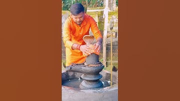 Shivling abhishek status 🌼 Mahadev trending status 🙏 Bholenath status ♥️#bholenath #shivling #shiv