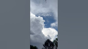 إنَّ المتَّقينَ في ظِلالٍ وعُيون 🩵 | #قرآن #آيات #المرسلات #alafasy #quran