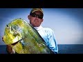 Dolphin Catch Clean and Cook (Mahi-Mahi, Dorado)