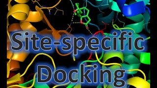 How to perform site specific docking