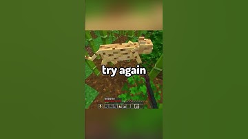 Ocelots Are Impossible To Tame