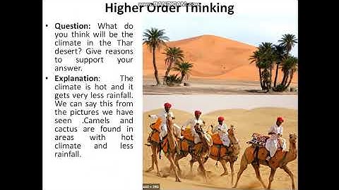 Desert and Plateaus Block 11 Class 4