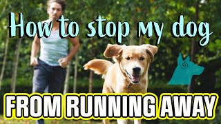 How to stop my dog from running away!