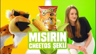 Chester ft. Miray Daner: Mısırın Cheetos Şekli