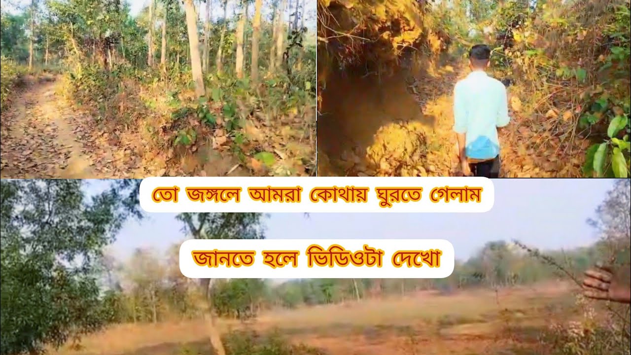 তো আমরা জঙ্গলে ঘুরতে গেলাম# খাগড়া খোলা তে অনেক ভালো #লাগলো🍂🍂🌳🌳🍁