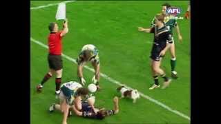 Dog invades International Rules match - AFL