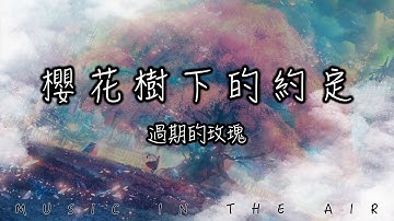 過期的玫瑰 - 櫻花樹下的約定『是誰醉酒策馬 我嘶吼望斷天涯』【動態歌詞】