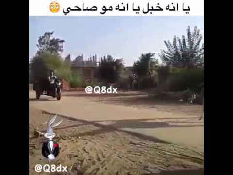 يوسف محمد محمد يوسف البلوشي