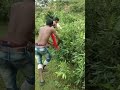 Nagin music comedy Whatsapp Status Video Download Free