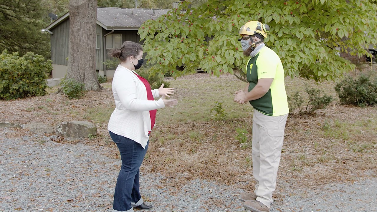 Trees&Storms Short Clips Preparing Your Trees for Storms - YouTube