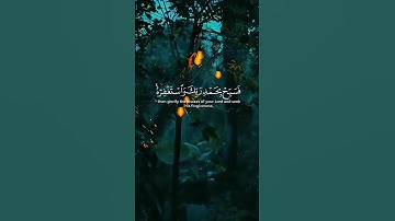 أكتب شيء تؤجر عليه ☺︎ ┃ #quran #القرآن_الكريم #المصحف #سورة_النصر