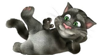 Интерактивные игрушки для кошек Интерактивные игрушки для кошек