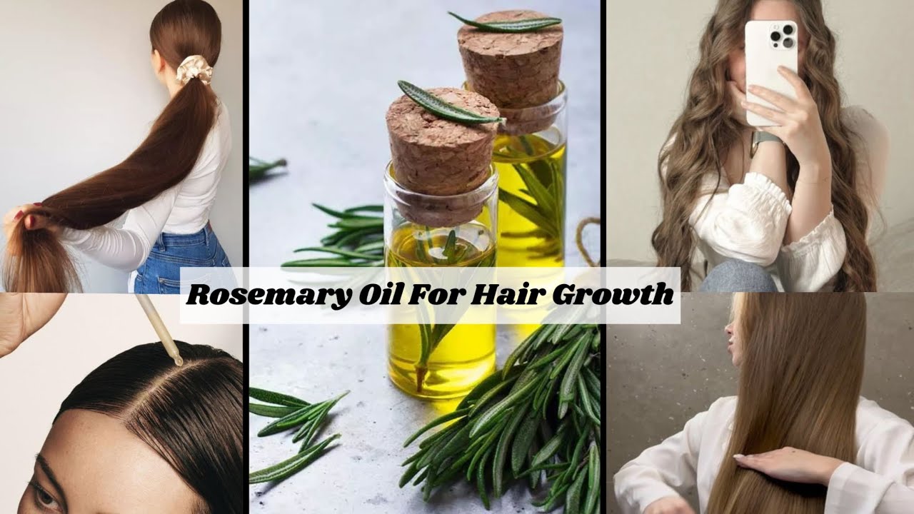 Picture of Make rosemary oil at home to stop hair fall and regrow thinning hair ...