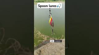 Download Lagu Spoon fishing tips🎣✅💯 #spoonfishing #fishing #fishinglure #shortvideo #shorts MP3