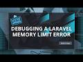Project Update: Debugging a Laravel Memory Limit Error